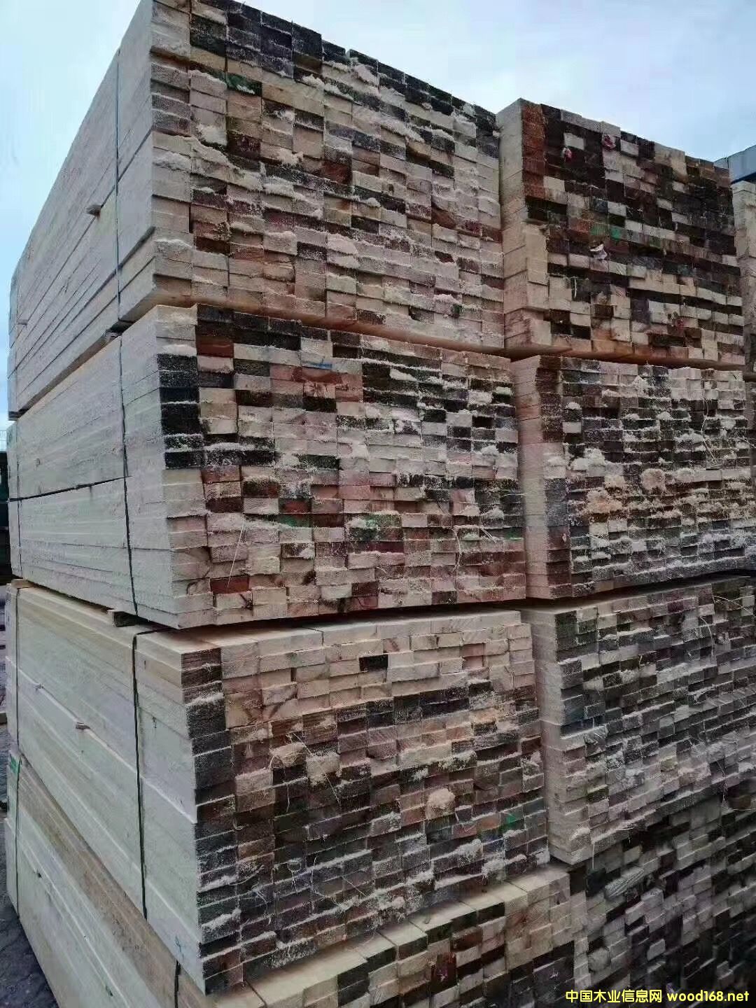 澳松的詳細(xì)介紹