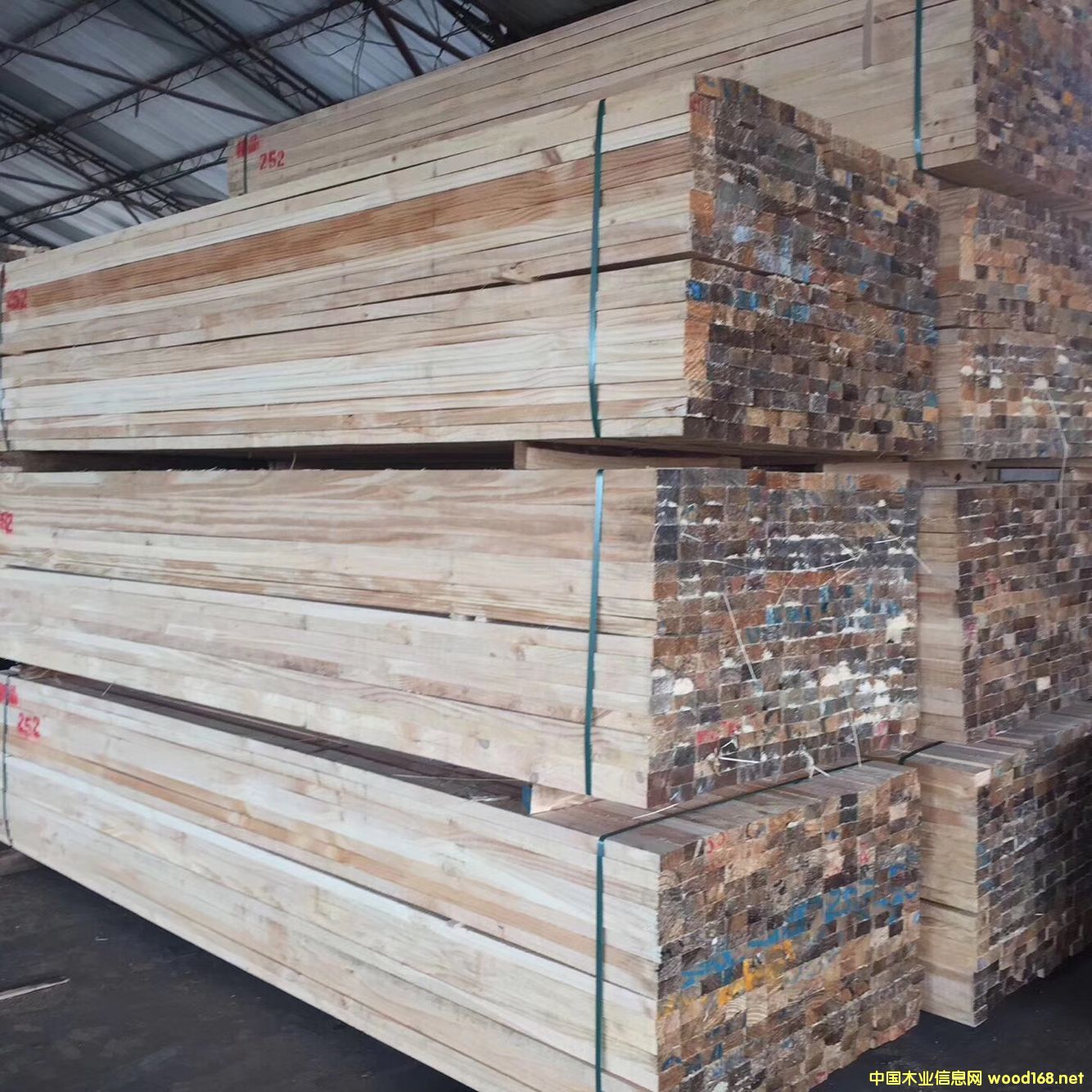 ������ľ ݗ����