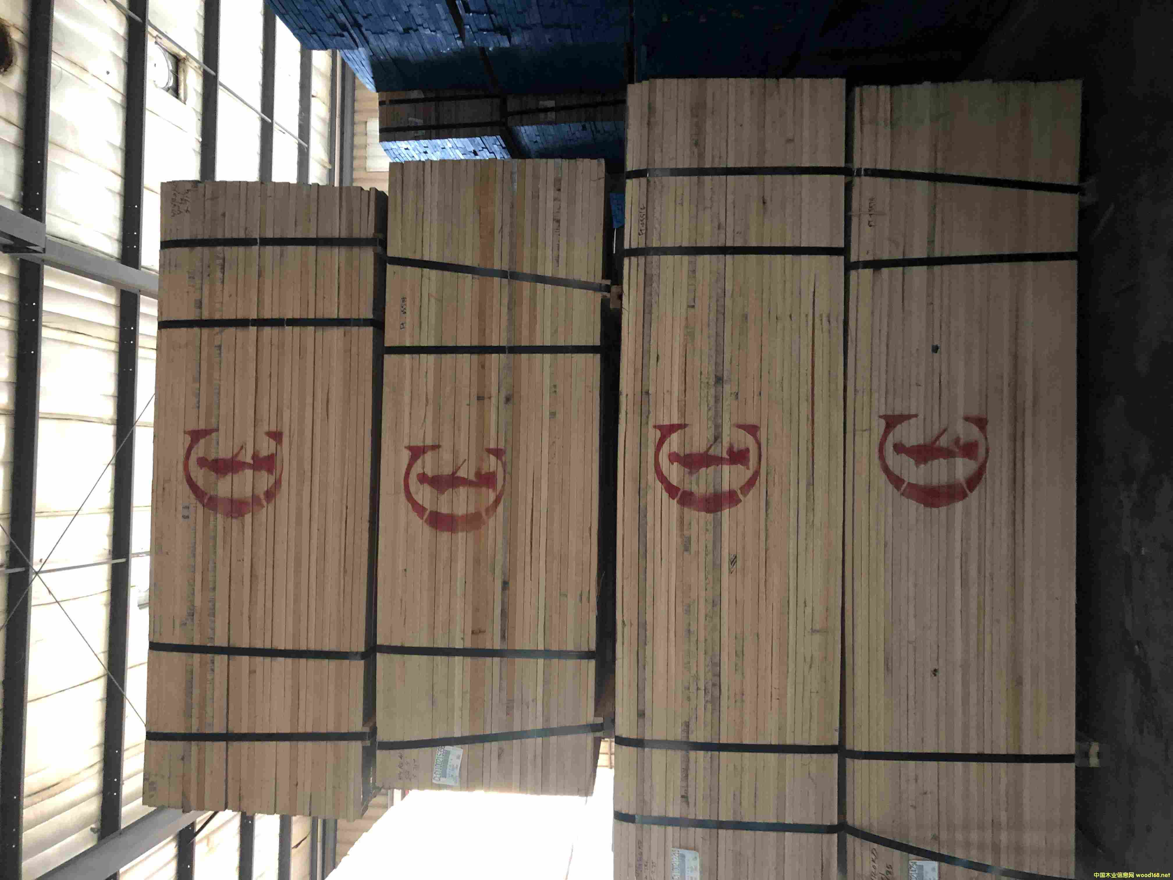 [��] �t�C�˼t��