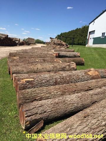 �����ں���ԭľ��Ԕ��(x��)��B