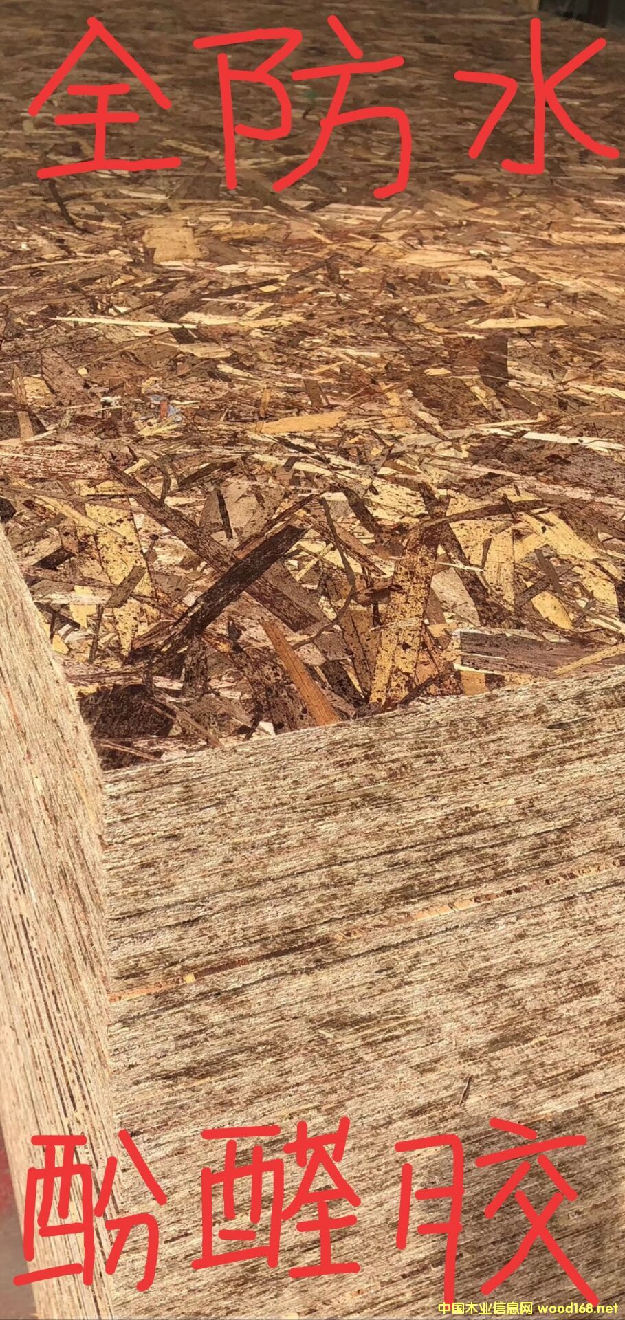 [��] ��ˮ����O(ji��n)SB�W�ɰ��ٻ���ľ���p䓄e�����ð�ĚW�ɰ��ٻ���