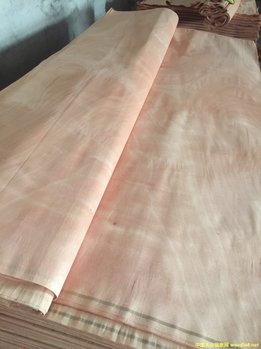 �W������Ԕ��(x��)��B