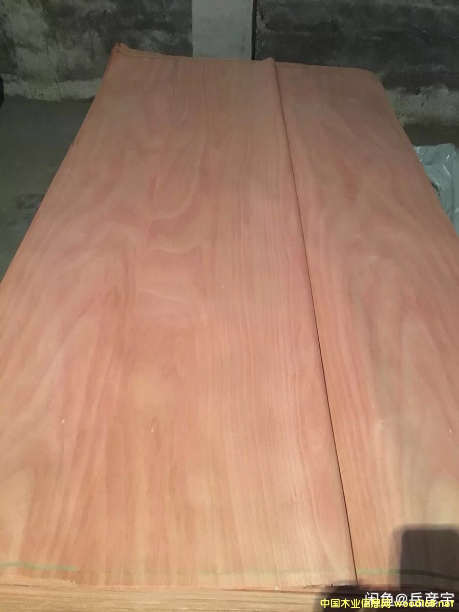 �һ�оľƤ��Ԕ��(x��)��B