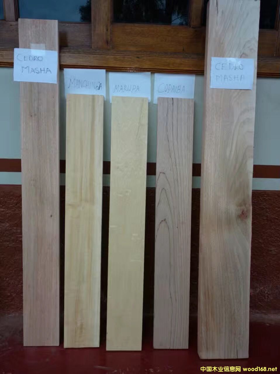 �ﻨ����ɣ