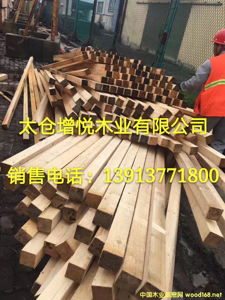 ̫�}(c��ng)����(y��ng)������ �Fɼ ݗ���� ����ľ�� �Fɼ���