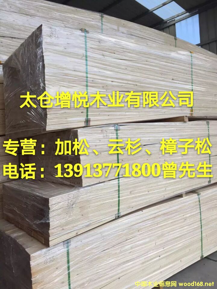 ��ɼ����  ��������ٹ�