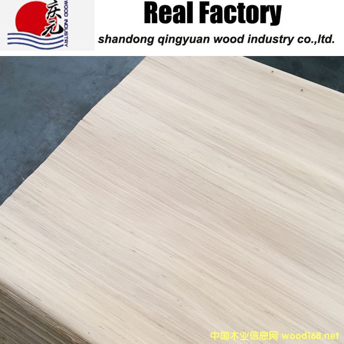 poplar2��Ԕ����B