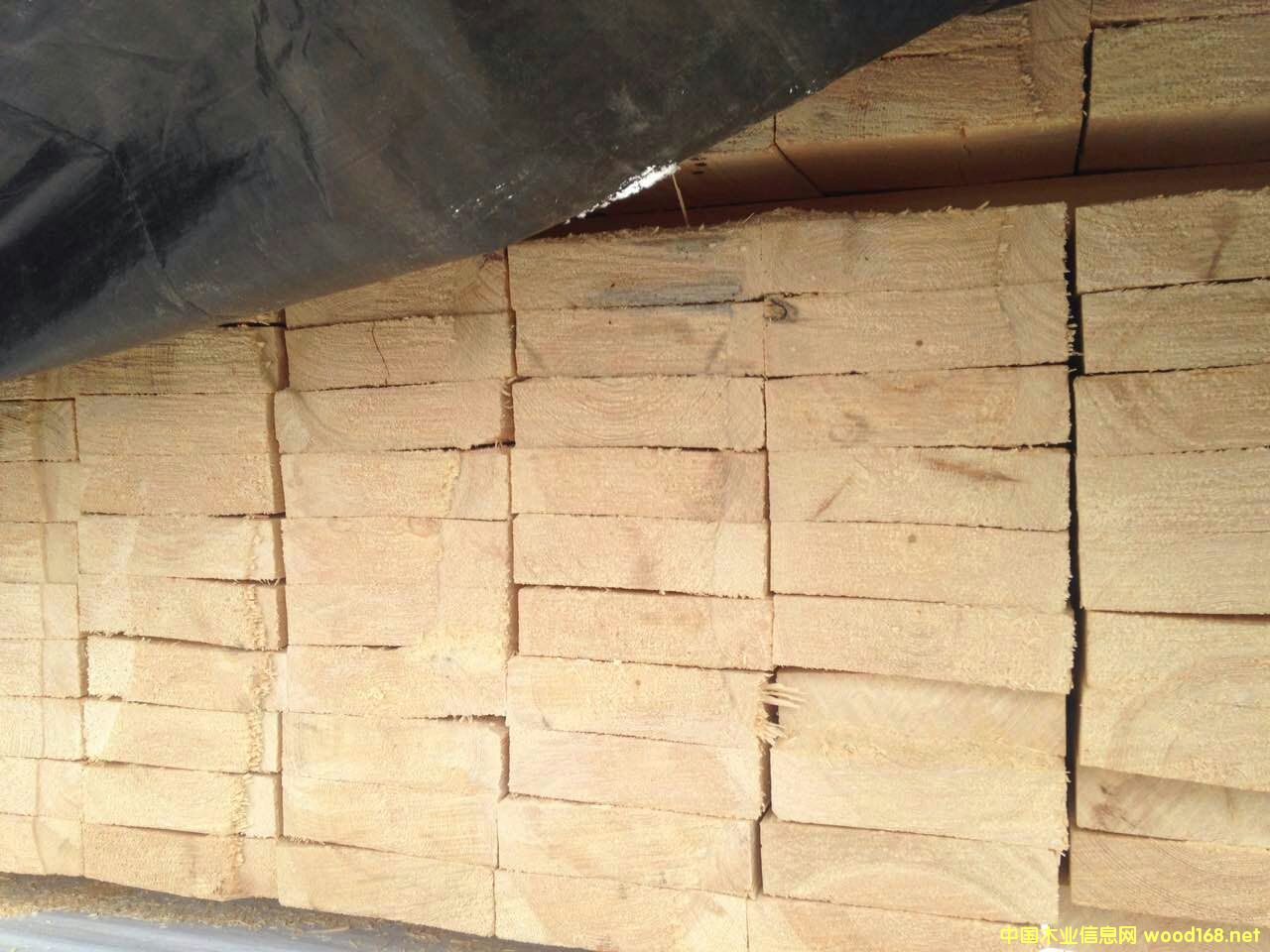 �����ɰ�ĵ�Ԕ��(x��)��B