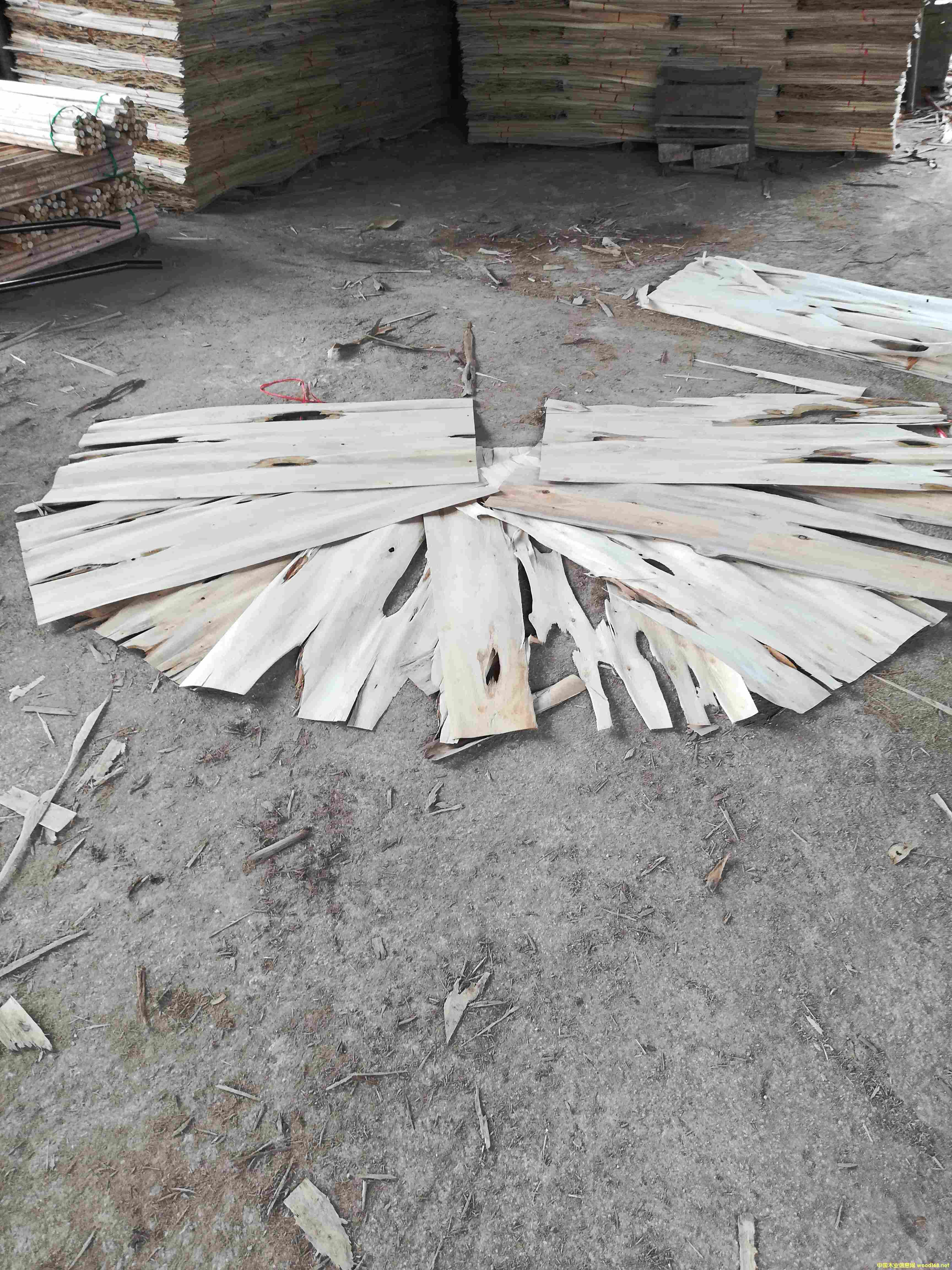 ��ľ�ΰ�Ƥ�Ӷ�����