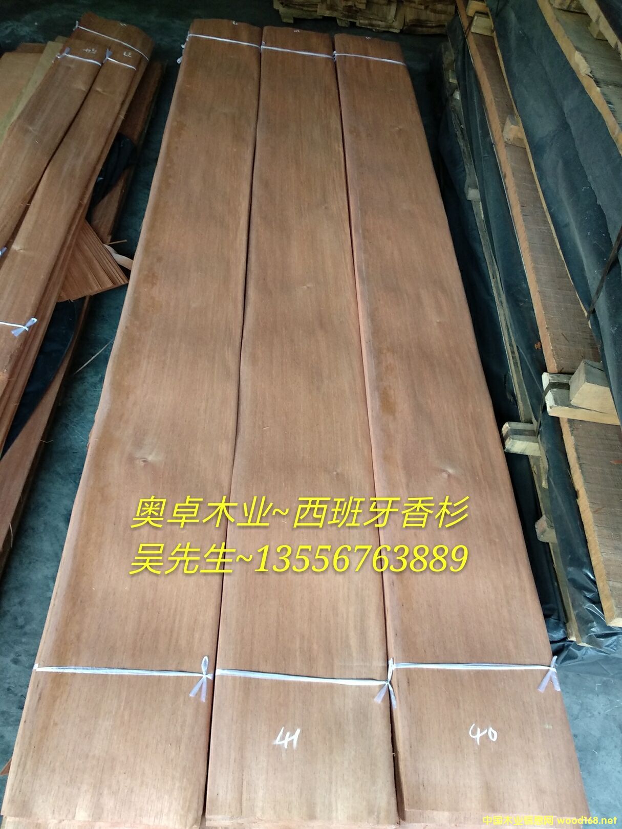 [��] ��������ɼ��������ѩ��������ľƤ