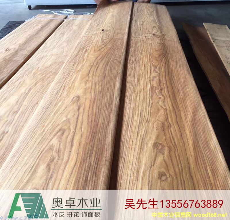 [��] �����̴���S������������ľƤ