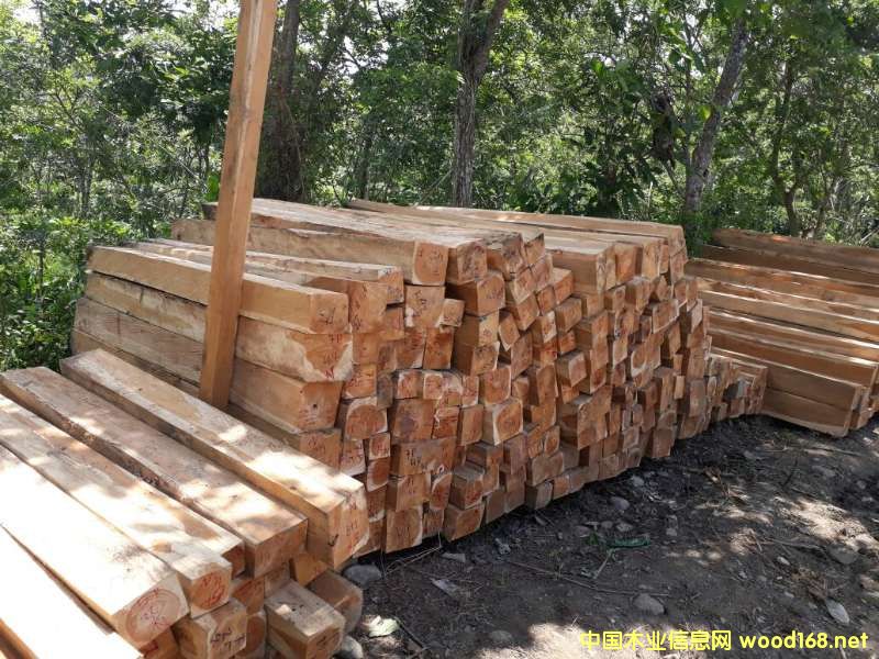 �炐�ȁ���ľ����