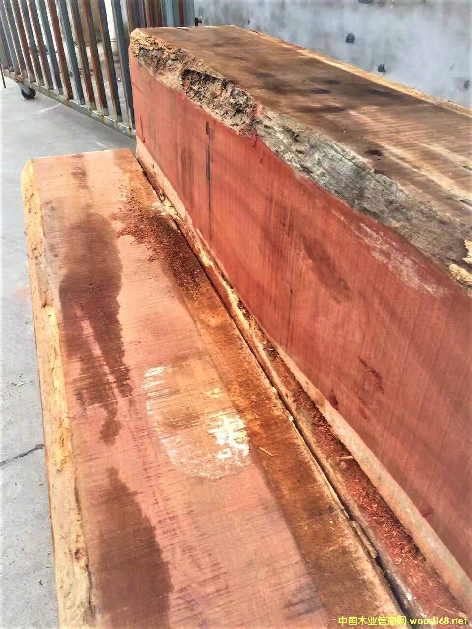 ����Ѫľ��Ԕ��(x��)��B