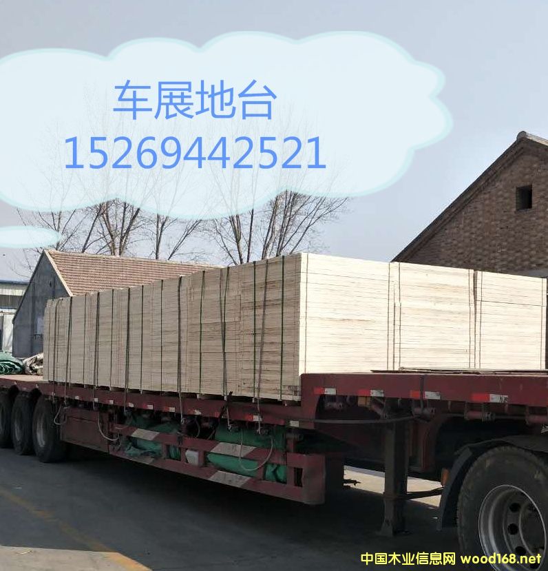 ܇չ���_��