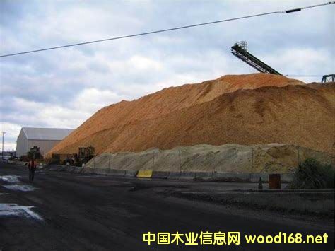 �M(j��n)�������Ϸ���ľƬ