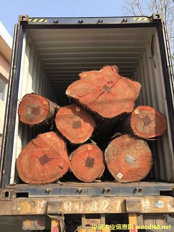 ������Ѫ̴��Ԕ��(x��)��B