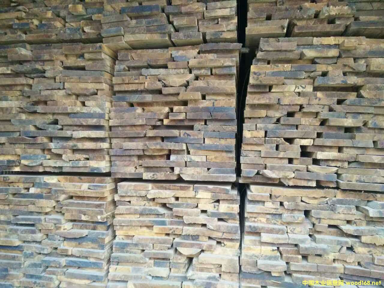 緬甸桃木的詳細介紹