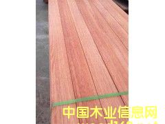 �t�����T�����ɲ�