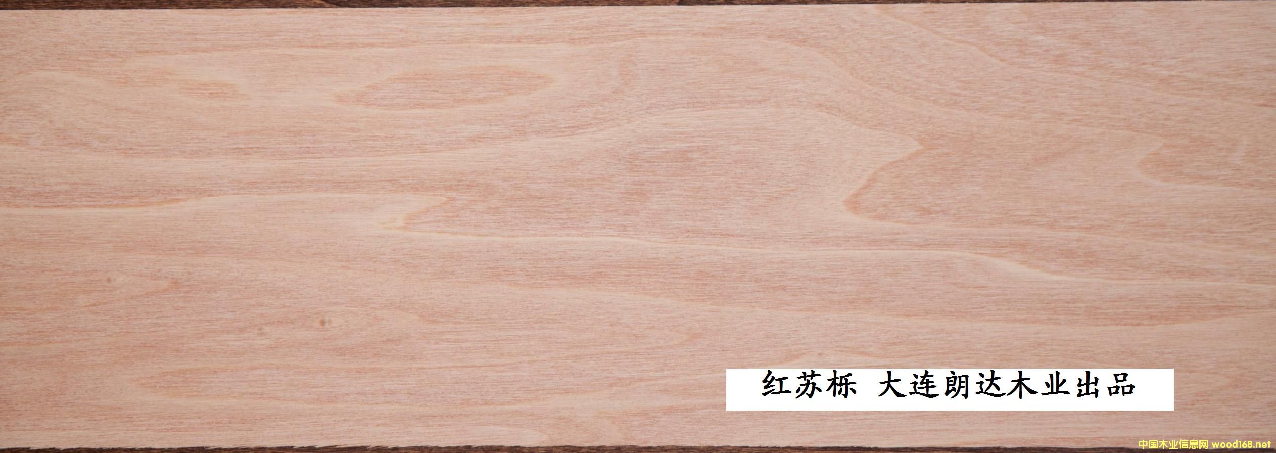 �t�K���ذ��Ƥ