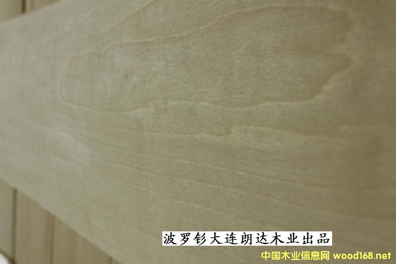 ���_៵ذ����ľƤ