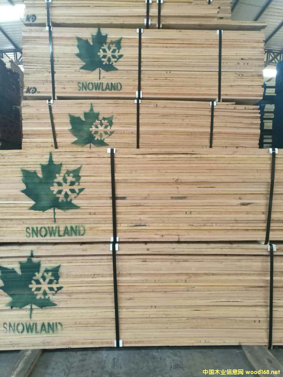 ���ҵ�Ԕ��(x��)��B