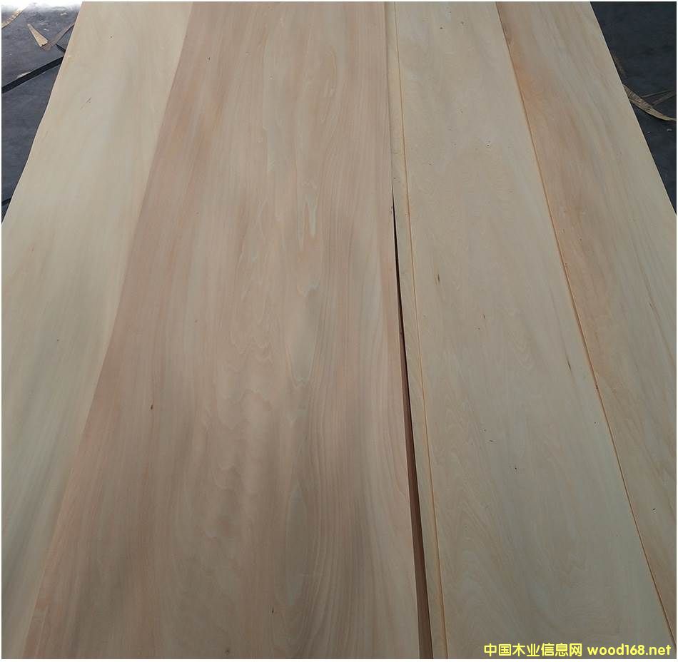 ���_˹�ľľƤ���е�Ԕ����B