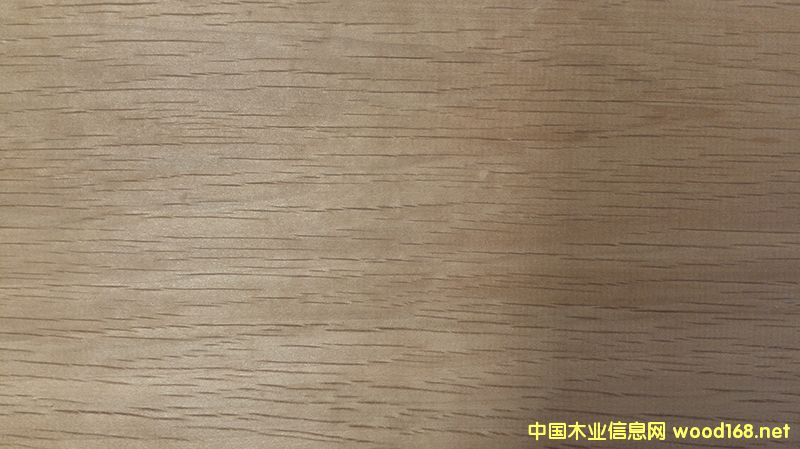 ���̿����ľ�����ٹ��