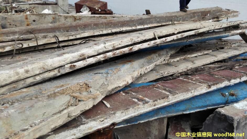 �㽭��ľ���۵�Ԕ����B