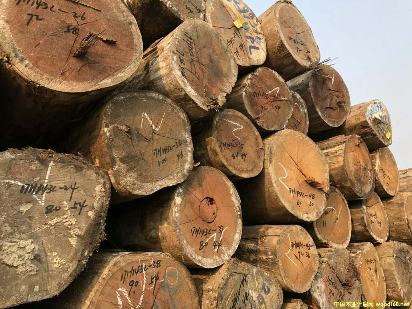 ��������ľ��Ԕ����B