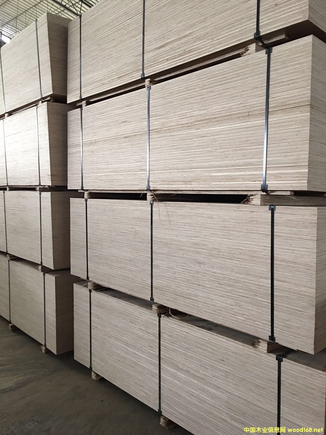 ͬ��������b�����Ј����Ԕ��(x��)��B