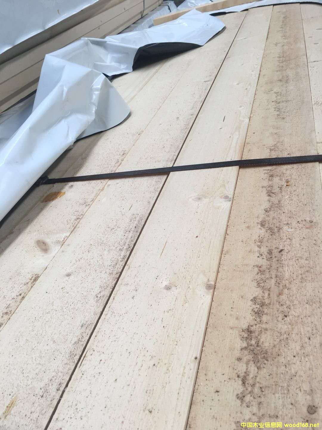 的詳細(xì)介紹