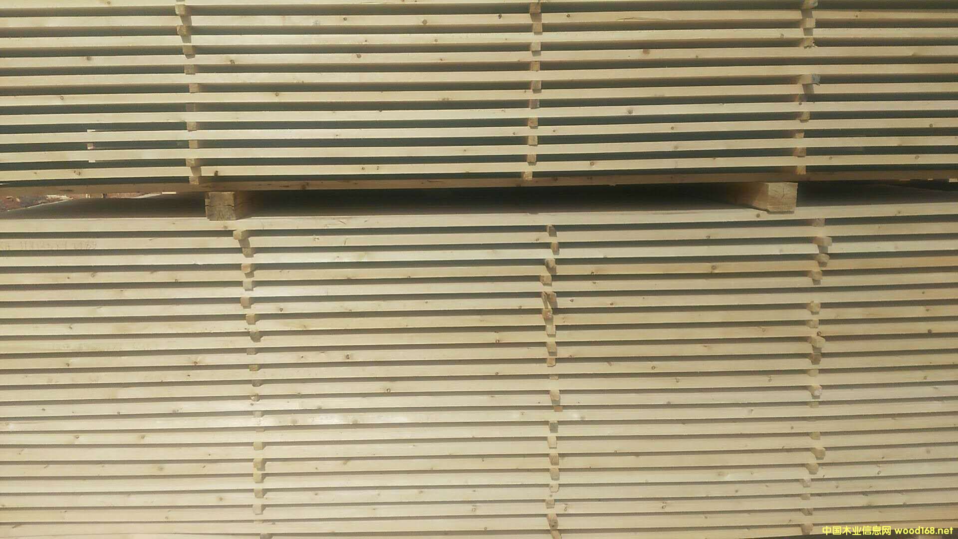 的詳細(xì)介紹