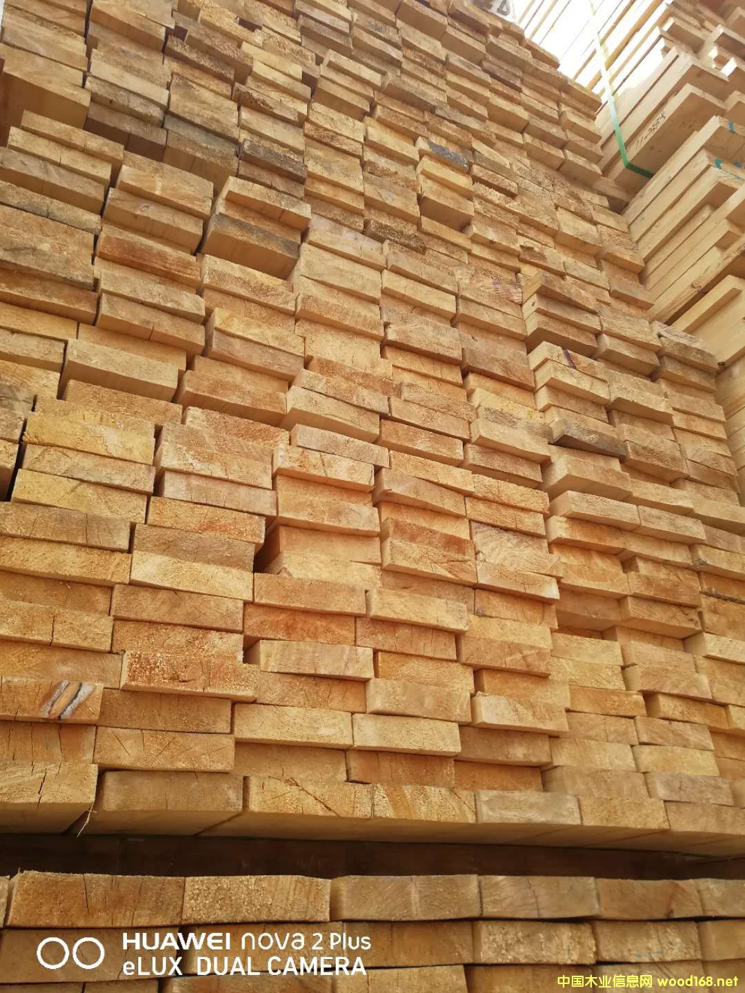 的詳細(xì)介紹