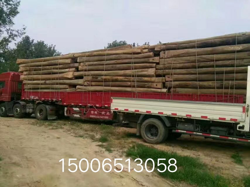 ����ľ����