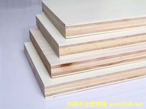 ��(sh��)ľ��о��Ԕ��(x��)��B