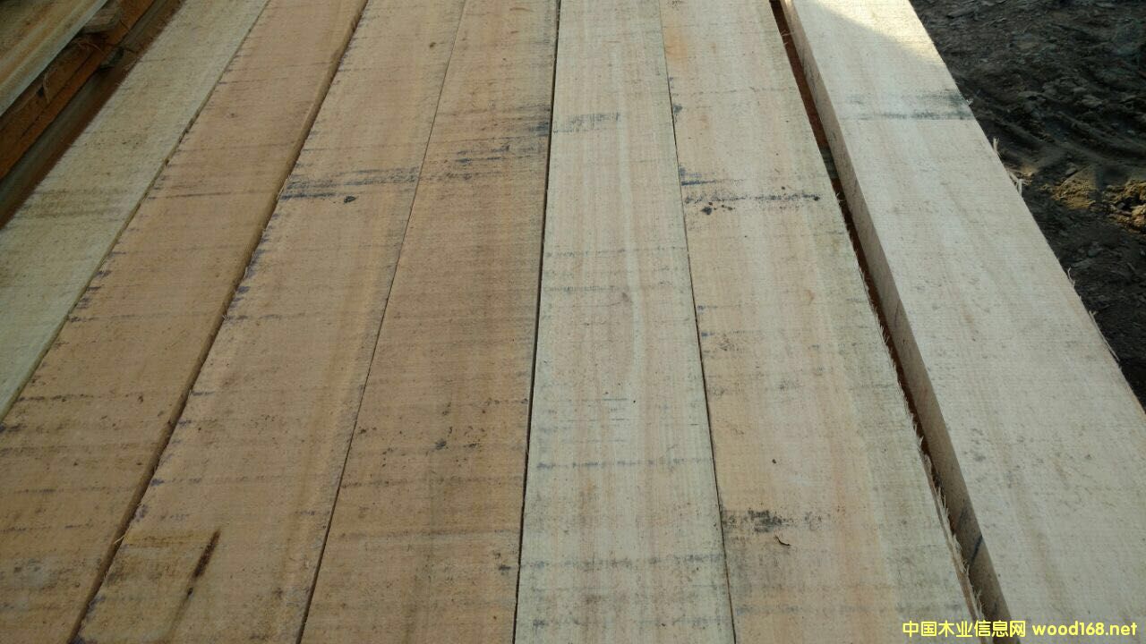 õ����ľ F.A.S 피�(j��) �������o��(ji��)�c(di��n)��Ԕ��(x��)��B