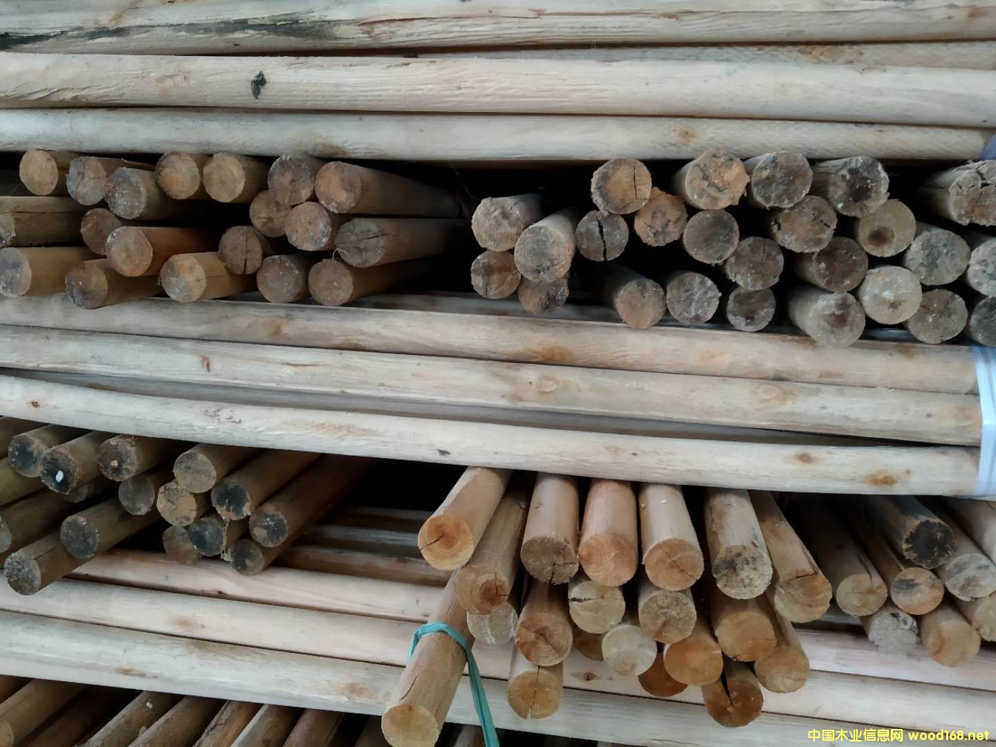 ����(y��ng)���(sh��)ľ����ľľ����ľ�����(sh��)��