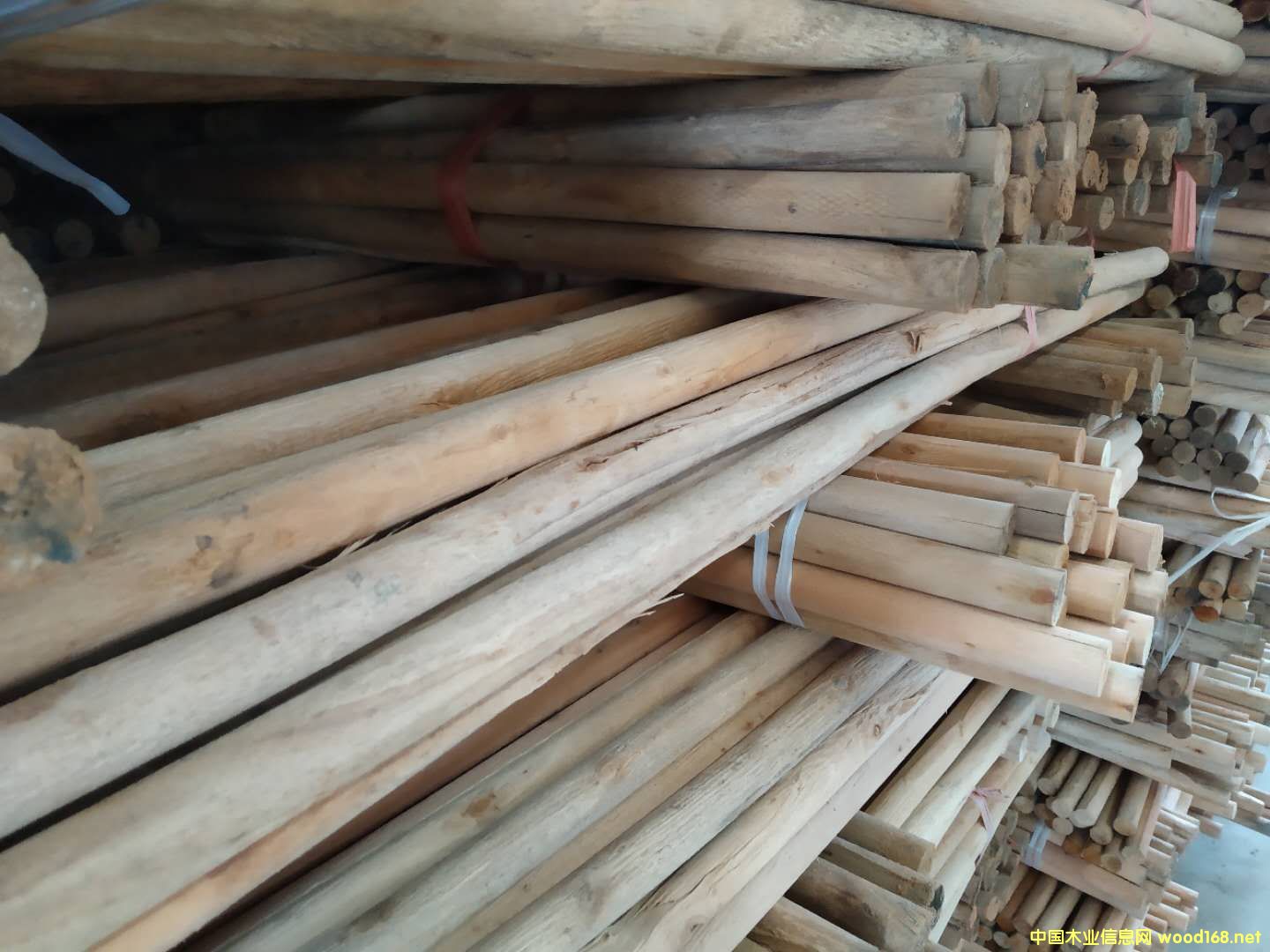 ��(sh��)ľ�A��Aľ��