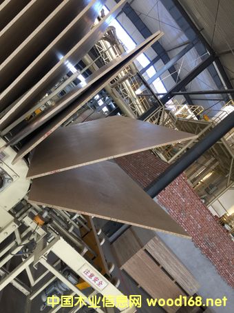 ���Ӱ匣(zhu��n)�ßo(w��)ȩ�z