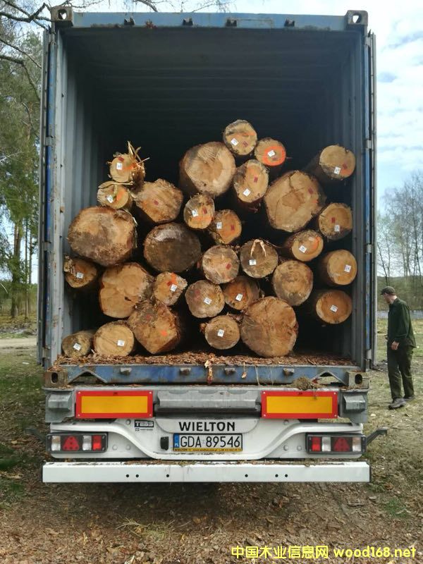 ������ԭľ��؛