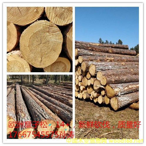 ������ԭľ��Ԕ����B