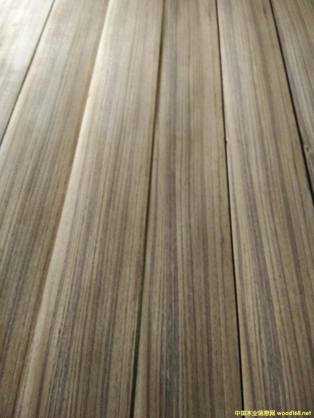 柚木的詳細(xì)介紹