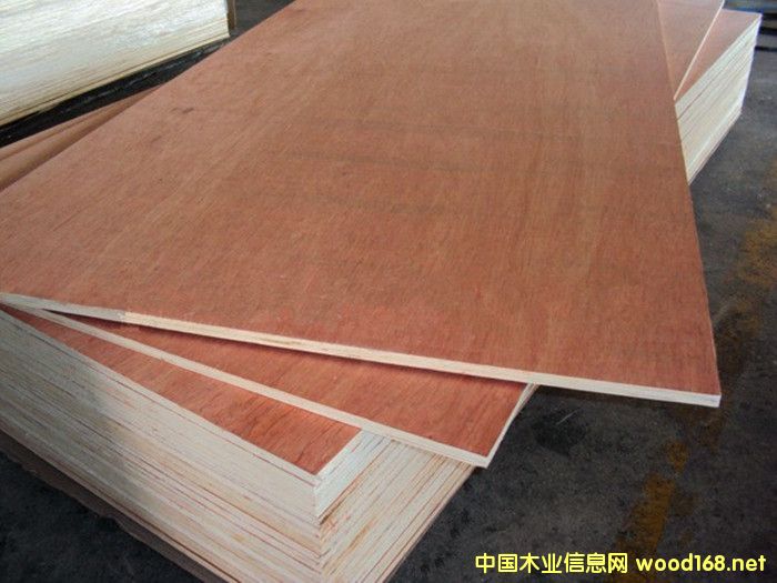 ��(sh��)ľ�N���ö��Ӱ����Ҿ߰�