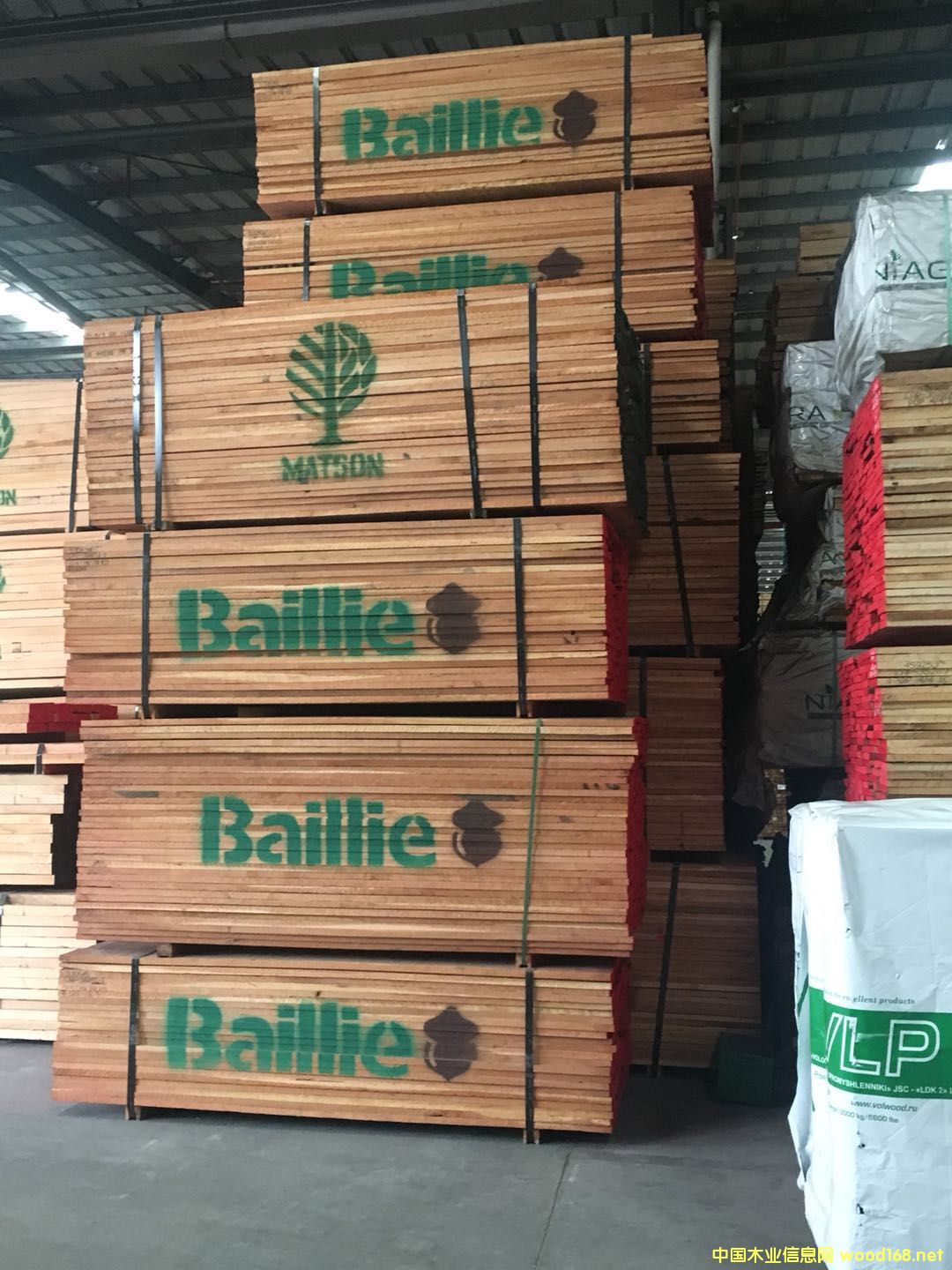 ��������ľ��Ԕ��(x��)��B