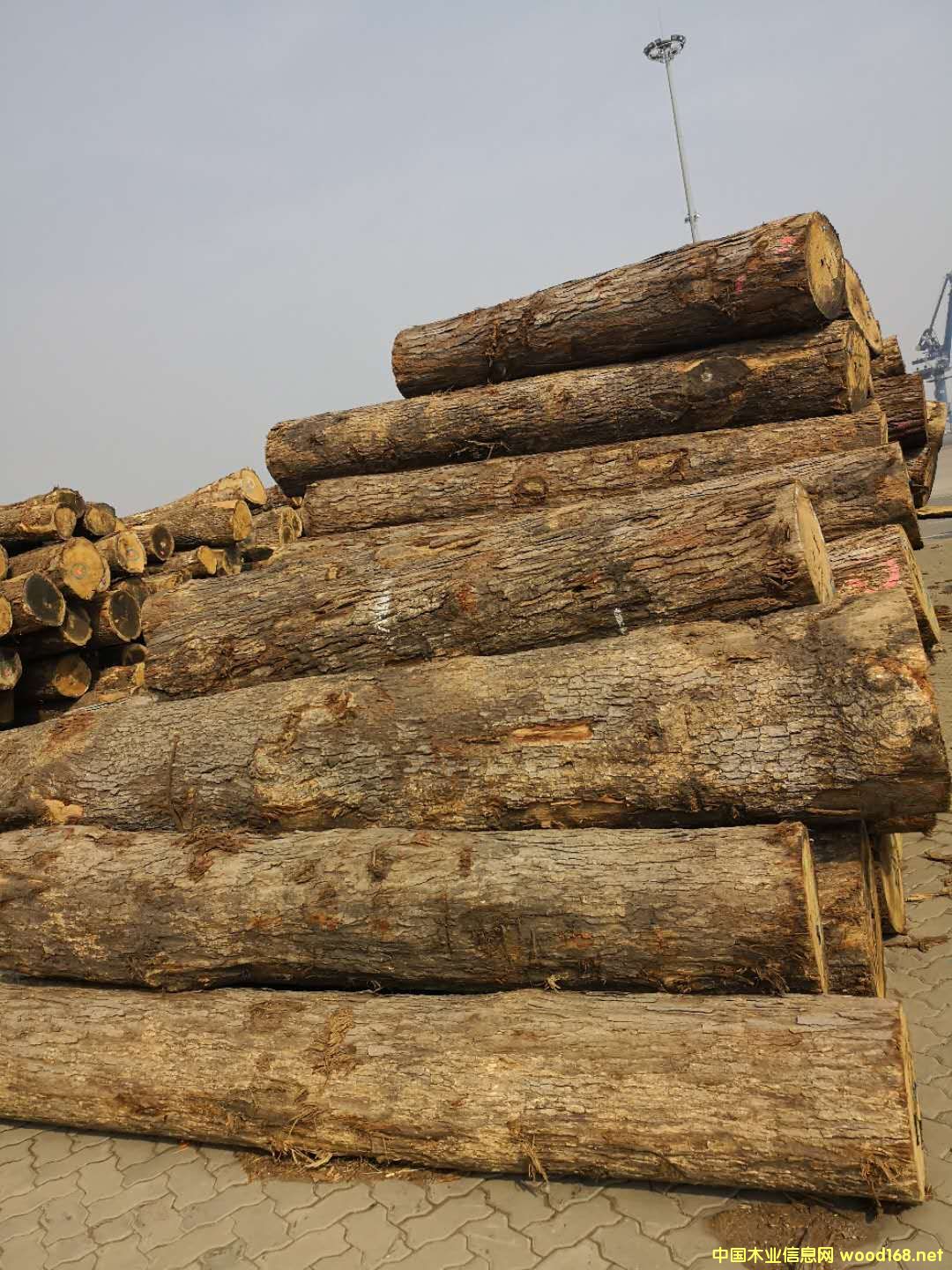 ����(gu��)����