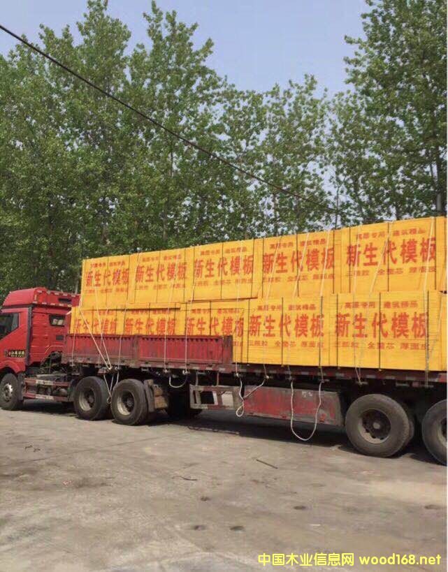 �tģ��ľģ�彨��ģ��