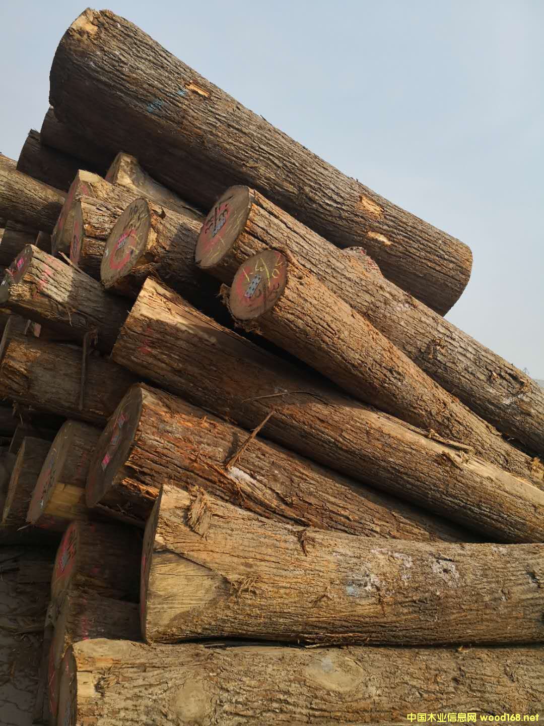 �����ľ��Ԕ��(x��)��B