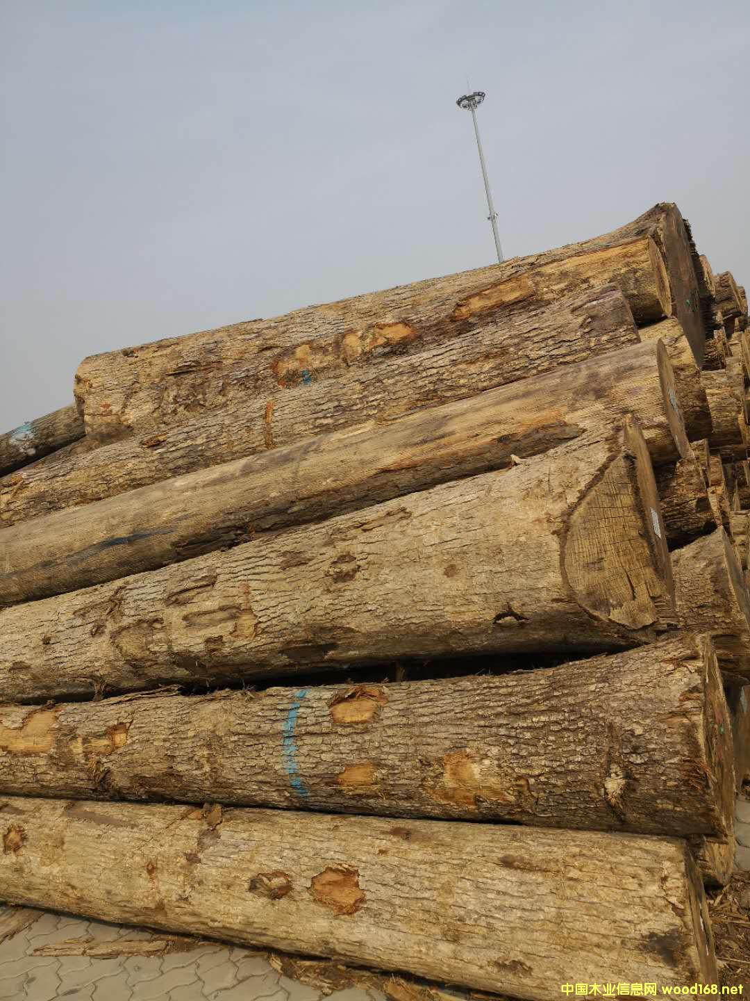 ���������Ԕ��(x��)��B