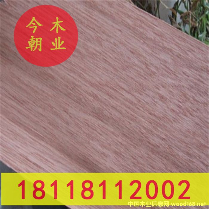 ɽ��ľ�@�ֹŽ����ߵ�Ԕ����B