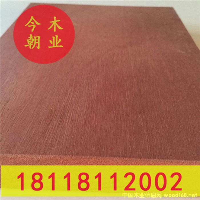 �t�̈́ڈ@�ֹŽ����ߵ�Ԕ����B